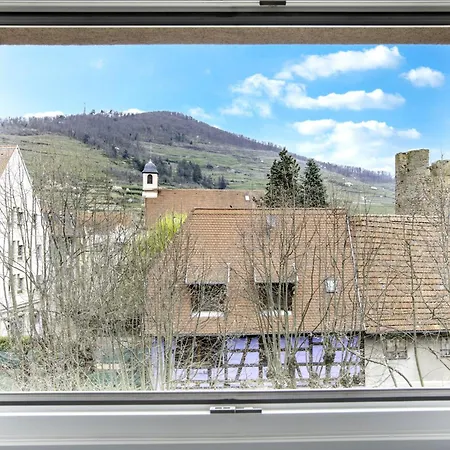 Choupette De La Vallee Avec Garage