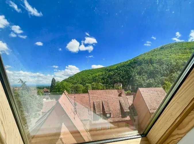 Choupette De La Vallée Avec Garage Appartement