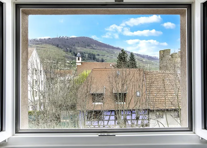 Choupette De La Vallée Avec Garage